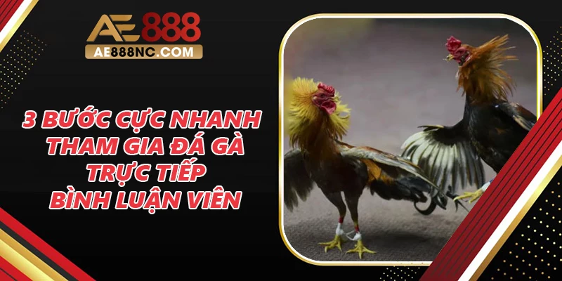 3 bước cực nhanh để tham gia đá gà trực tiếp bình luận viên