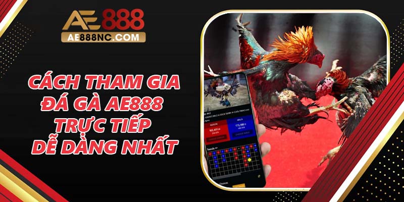 Các cách tham gia đá gà AE888 trực tiếp dễ dàng nhất