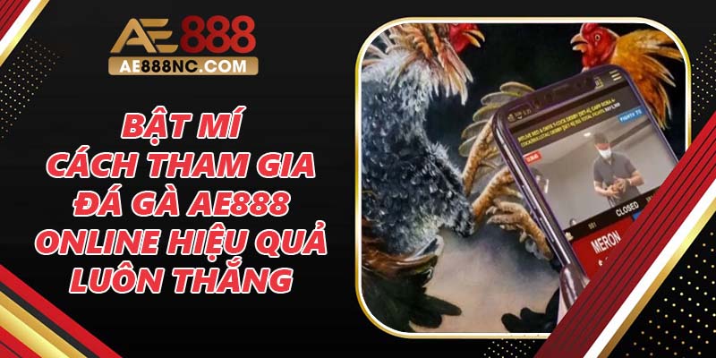 Bật Mí Cách Tham Gia Đá Gà Ae888 Online Hiệu Quả Luôn Thắng 