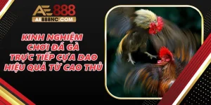 Kinh Nghiệm Chơi Đá Gà Trực Tiếp Cựa Dao Từ Cao Thủ