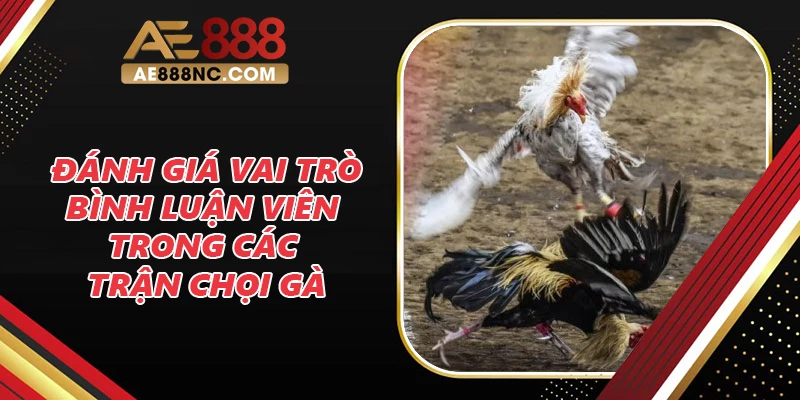 Đánh giá vai trò của bình luận viên trong các trận chọi gà